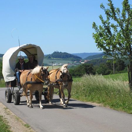 Urlaubspension 'Hohes Rott' Und Apartmenthaus Heiligenstadt Exterior foto